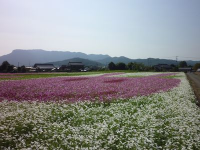 c0211540_1243170.jpg