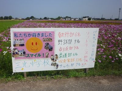 c0211540_1261461.jpg