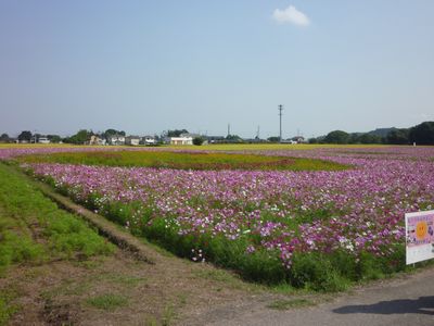 c0211540_1263271.jpg