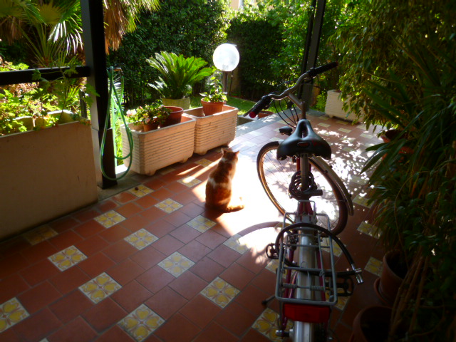 d0170140_536761.jpg