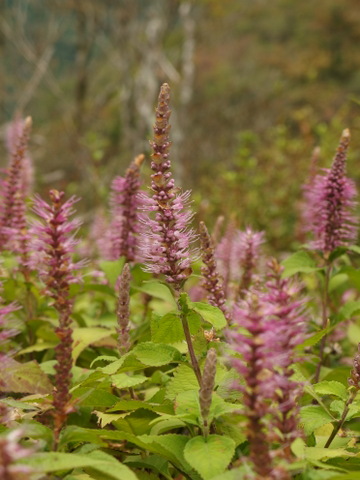b0199742_23211942.jpg