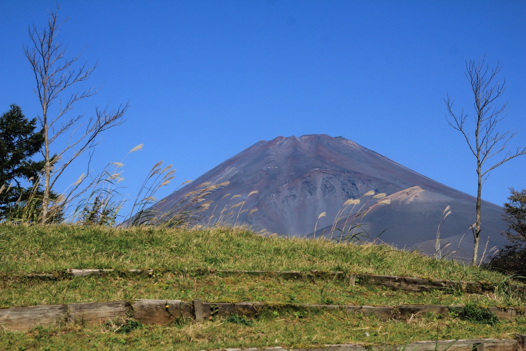 d0132743_10225641.jpg