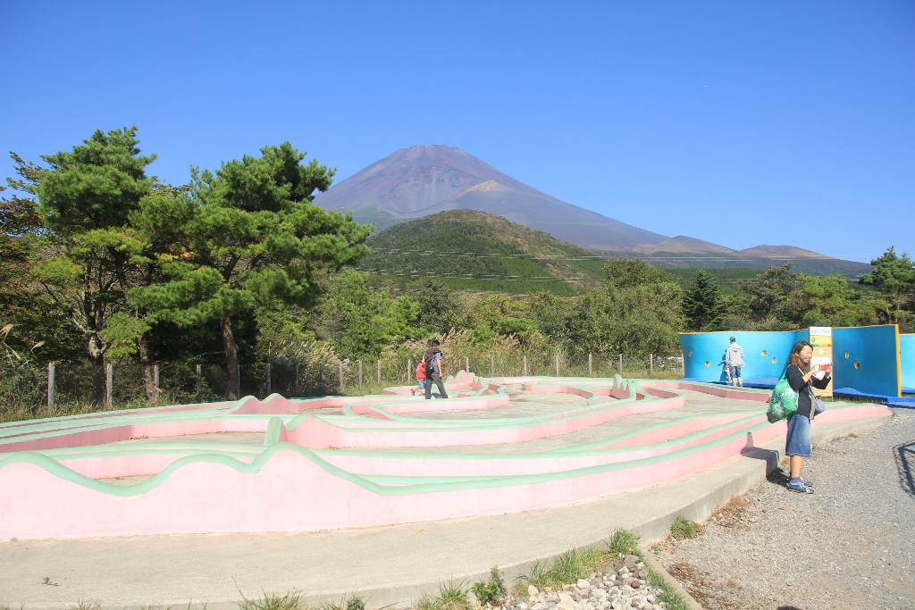 d0132743_10343326.jpg