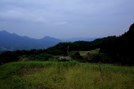 d0163550_8493367.jpg