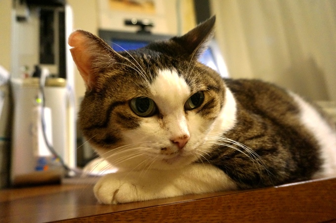 f0257756_229411.jpg