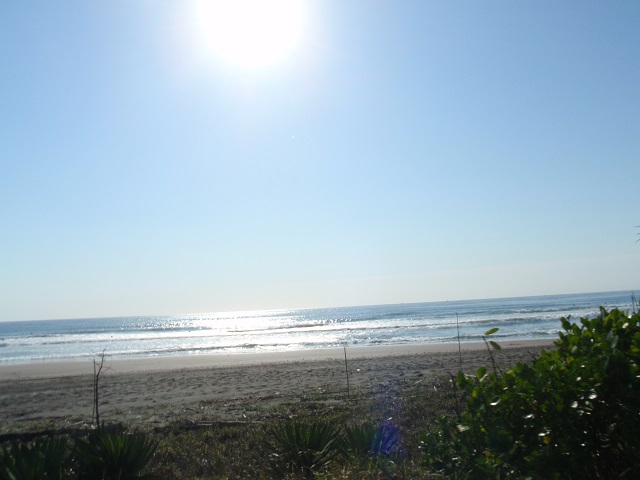 a0242657_21263625.jpg