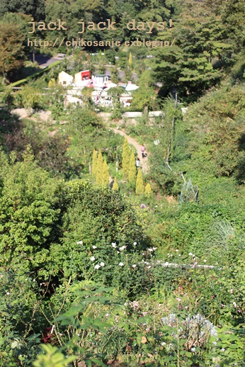 b0219358_7122579.jpg