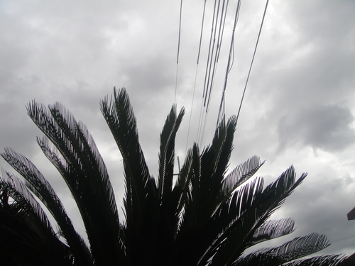 c0108460_19262185.jpg