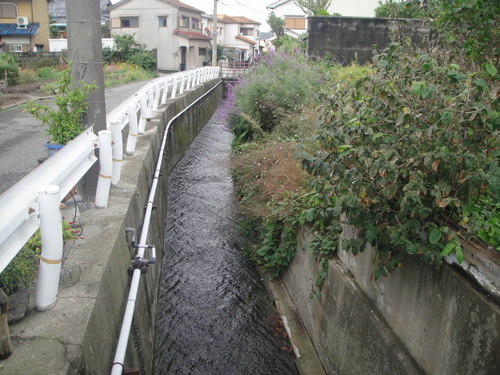 c0108460_1927231.jpg