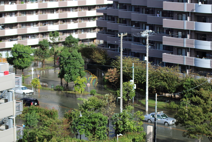 d0152261_14153196.jpg