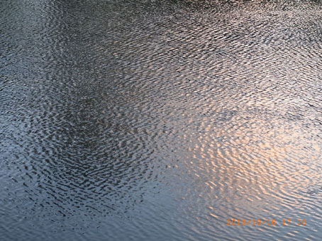 b0075364_1904374.jpg