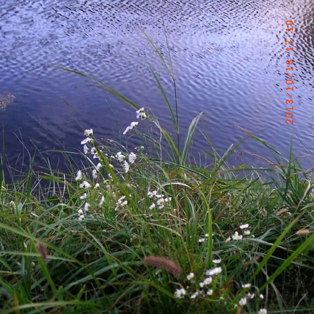 b0075364_1904689.jpg