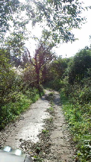 e0221866_21354314.jpg