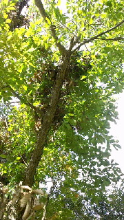 e0221866_21354421.jpg