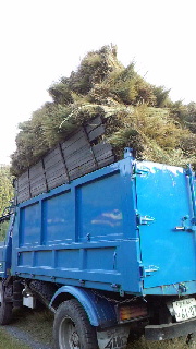 e0221866_21354441.jpg