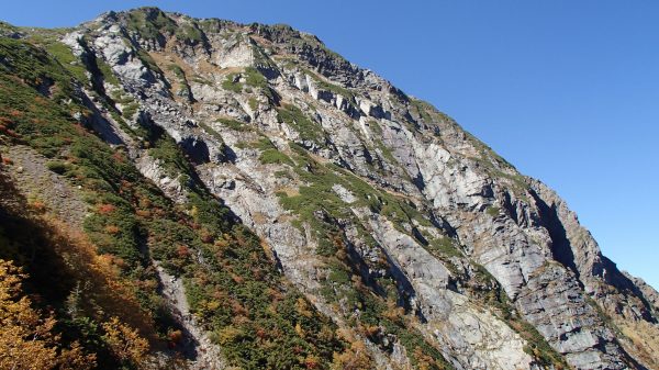 b0050067_154957.jpg