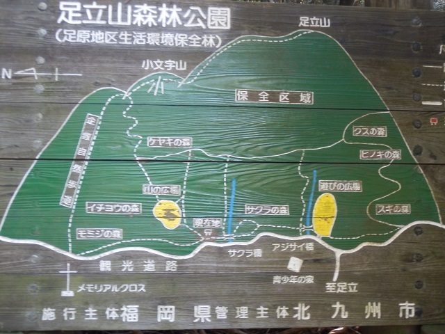 c0042869_12455163.jpg