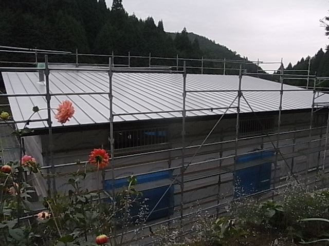 a0146070_5342068.jpg