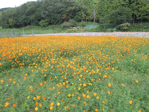 b0194872_234662.jpg