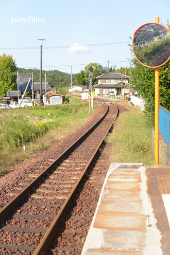 b0243873_20303887.png
