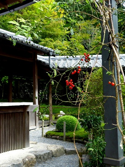 d0084473_2029189.jpg