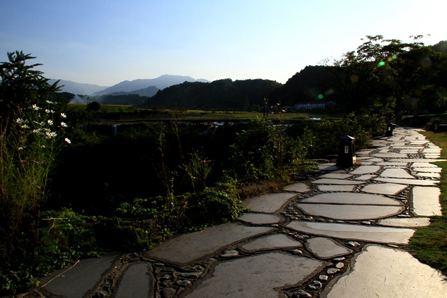 d0126577_19502479.jpg