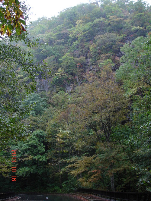 d0165378_9285140.jpg