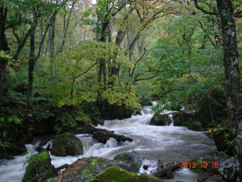 d0165378_9291282.jpg