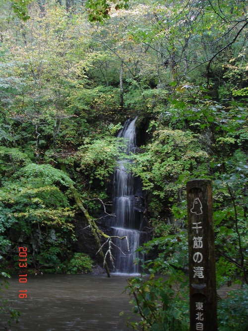 d0165378_9303259.jpg