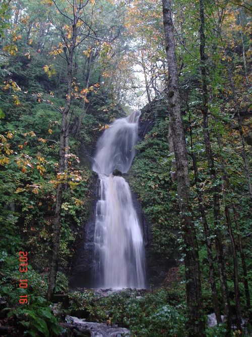 d0165378_9325459.jpg