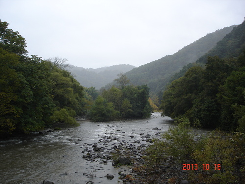 d0165378_943373.jpg