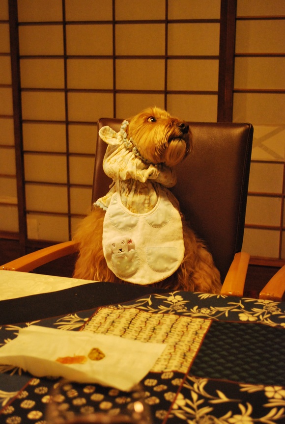 f0272880_18391754.jpg