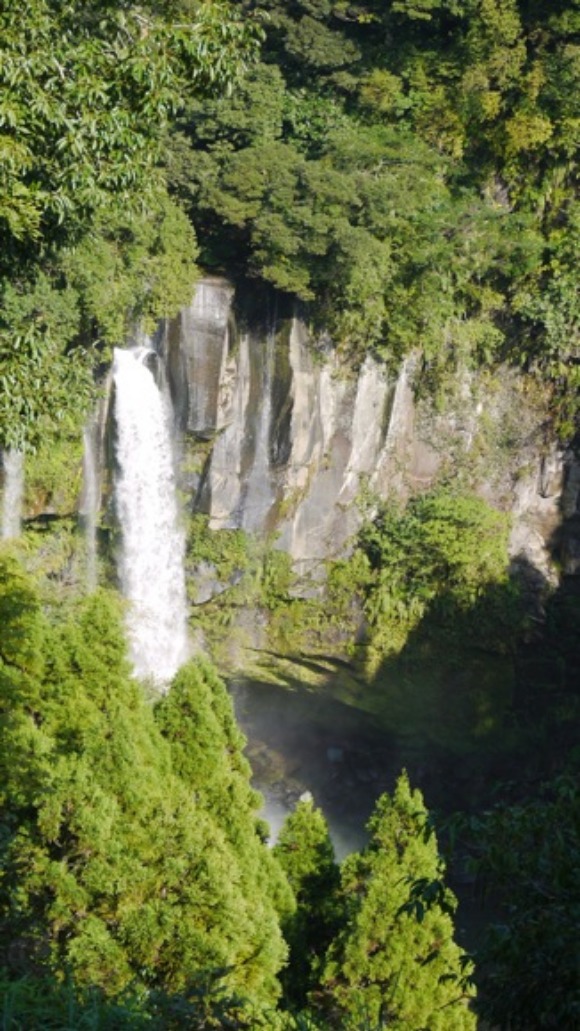 a0278382_0213041.jpg