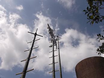 b0159585_14224930.jpg