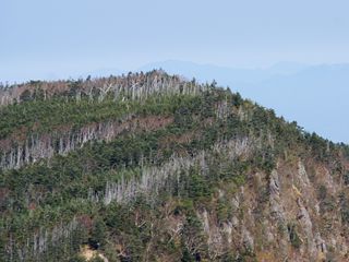 e0271890_11252541.jpg