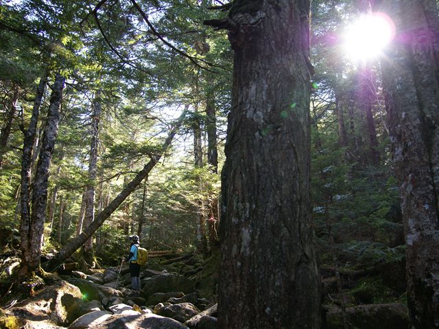 e0271890_4152734.jpg