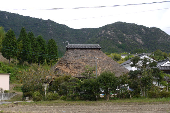 f0222692_19215867.jpg