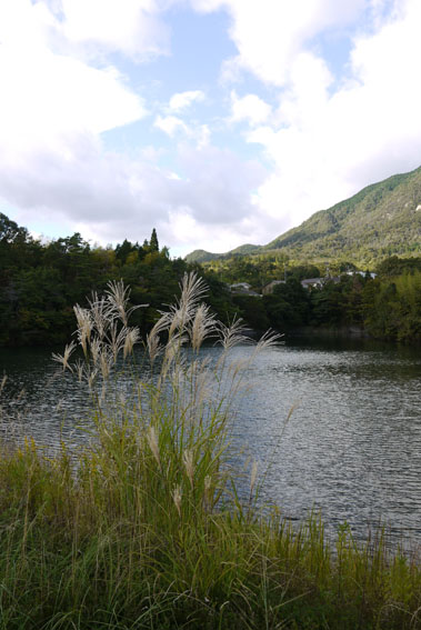 f0222692_1940268.jpg