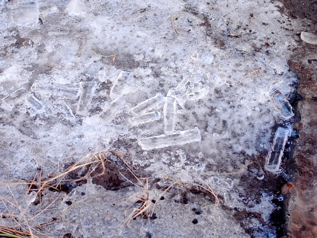 e0250594_1948577.jpg