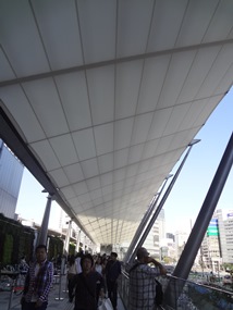 b0146196_17435637.jpg