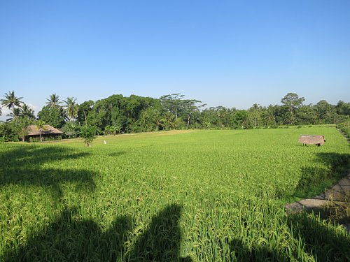 a0036499_9551650.jpg