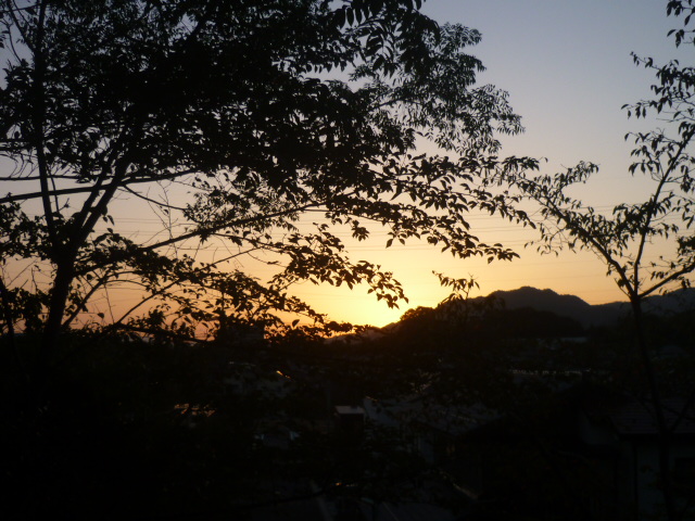 e0326699_16321178.jpg