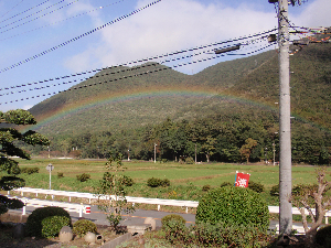 e0207503_1215740.png