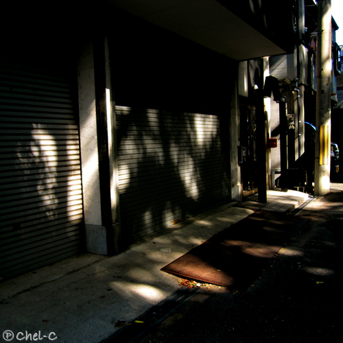 a0154706_12484859.jpg