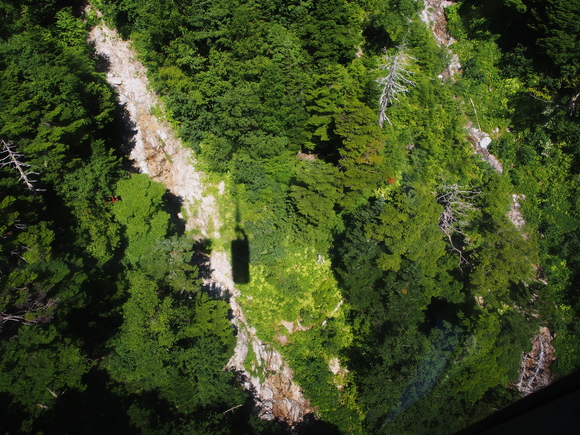 f0302208_23243458.jpg