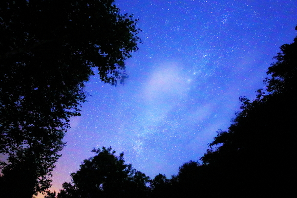 f0302208_2363466.jpg