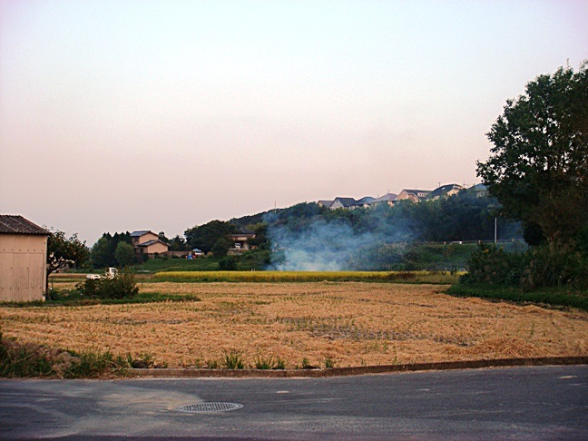 b0068423_22231749.jpg