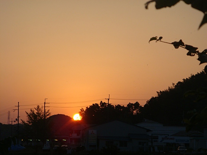 b0068423_229952.jpg