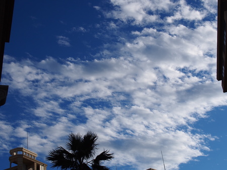 a0318033_123599.jpg