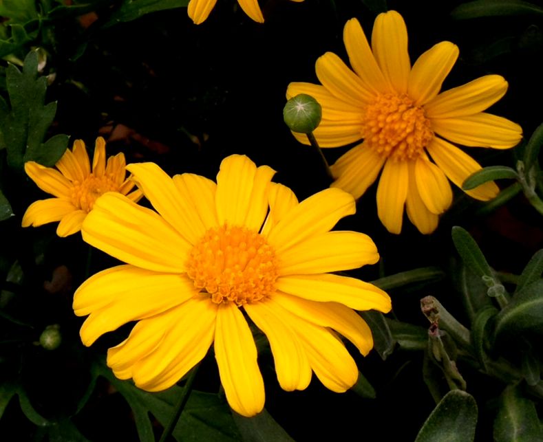 e0149934_21152420.jpg